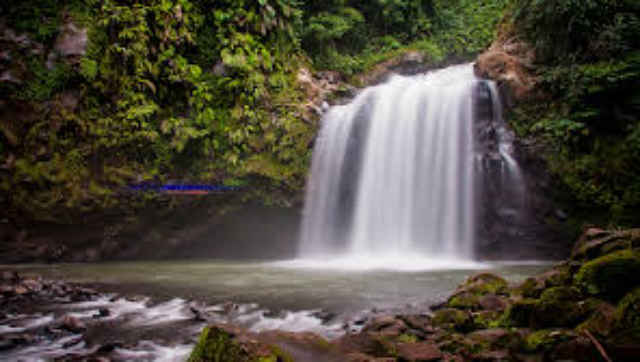 Lokasi Piknik Terbaik saat Berlibur di Malino